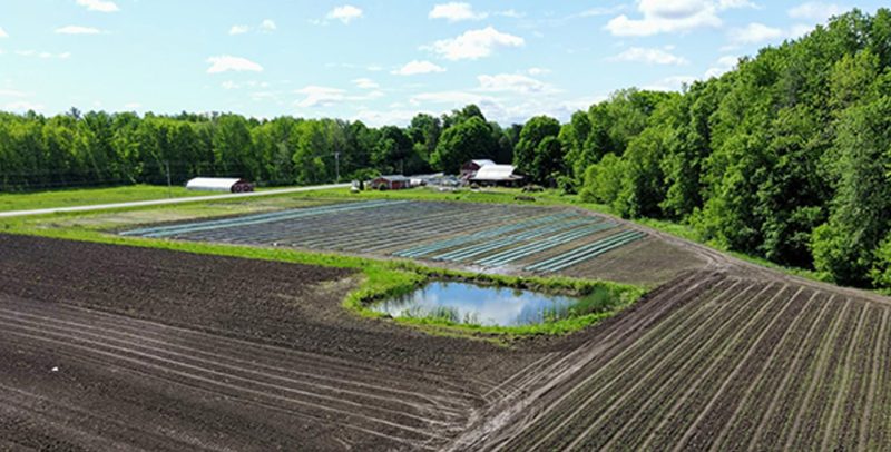 BROWNSON FAMILY FARM