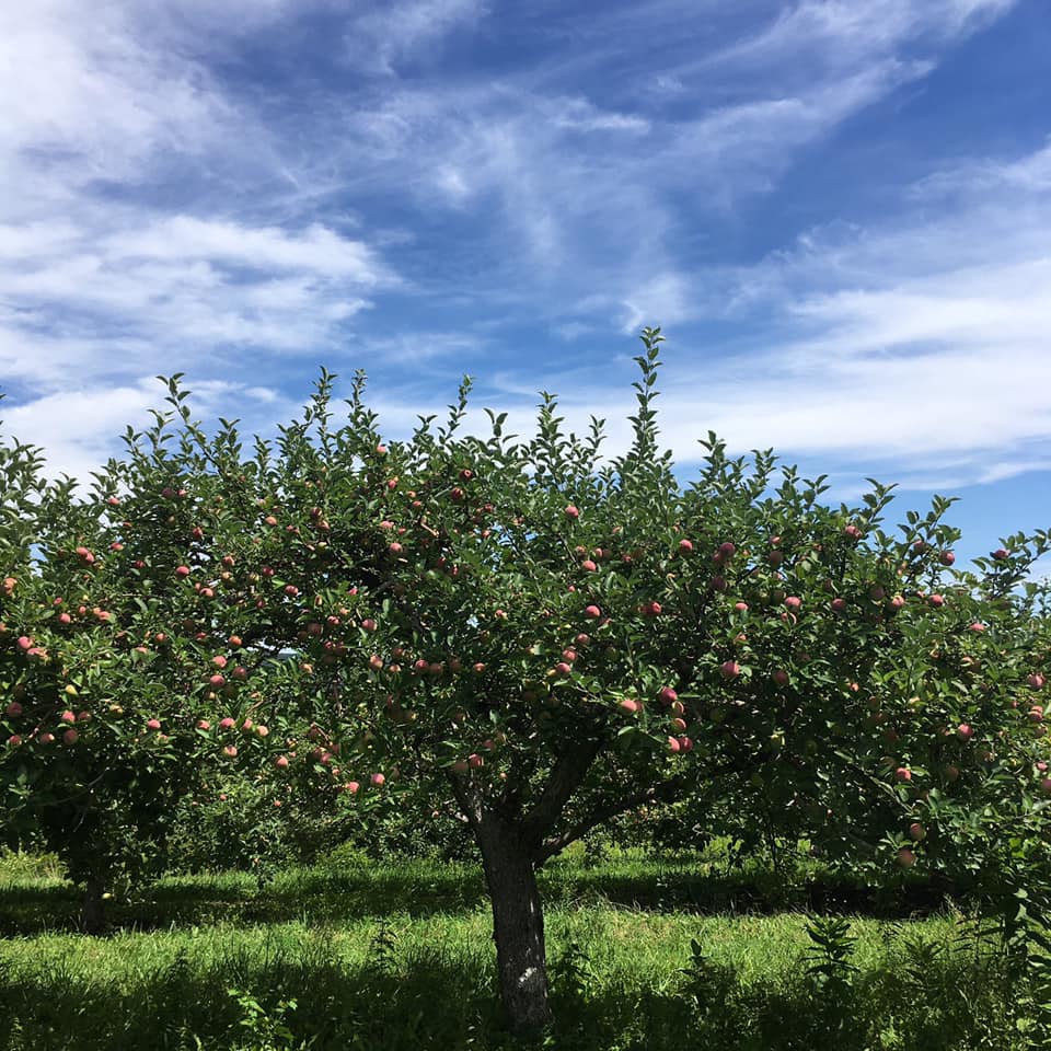 Sweet Acres Orchard