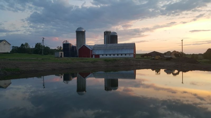 FARMSTEAD 1868